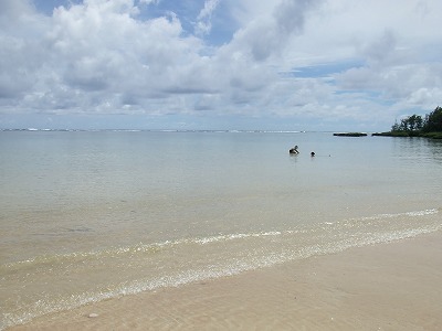 guam035.jpg