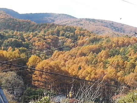 20121107_113958.jpg
